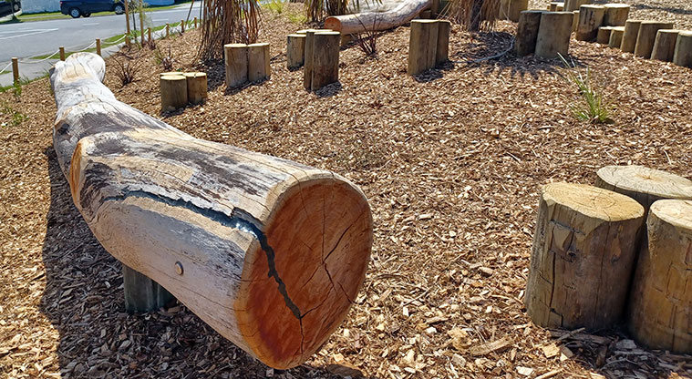 86 Harvest Avenue - Some of the logs and stumps through the bark garden.