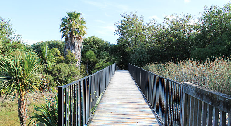 98 Pinecrest Drive - Section of the boardwalk over the stormwater pond. Photo credit: M Loubser.