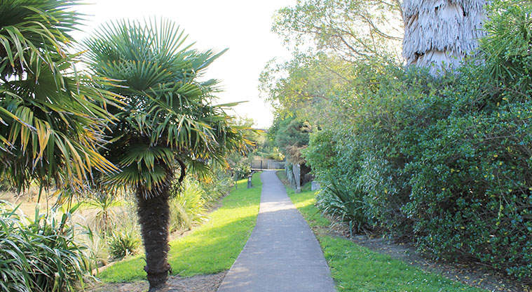 98 Pinecrest Drive - Section of path leading to the boardwalk. Photo credit: M Loubser.