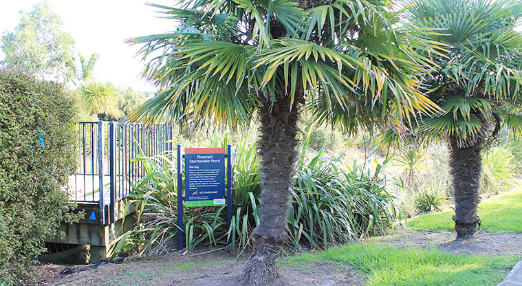 98 Pinecrest Drive - Stormwater pond sign with a section of raised platform and trees. Photo credit: M Loubser.