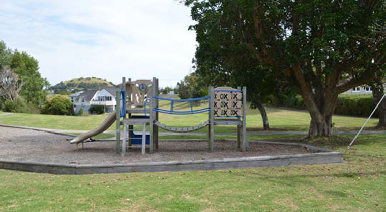 Achilles Crescent Reserve - Section of the playground with trees, open grassed space and houses in the background.