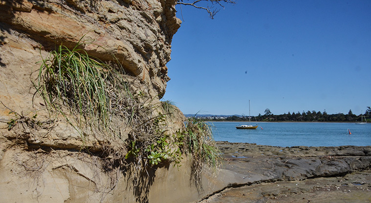 Aeroview Esplanade Reserve - View across the harbour, with the cliff face on the left. Photo credit: Aleksandar Ćirilović.