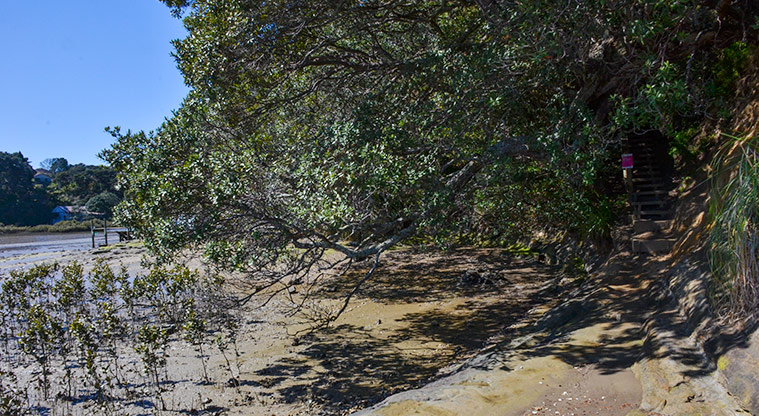 Aeroview Esplanade Reserve - Trees and rocks at the waters edge, with a shed in the background. Photo credit: Aleksandar Ćirilović.