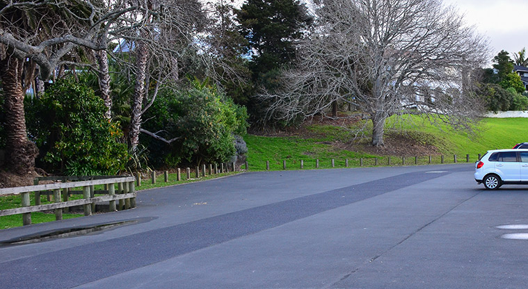 Waiake / Aickin Reserve - Section of the car park. Photo credit: Aleksandar Ćirilović.