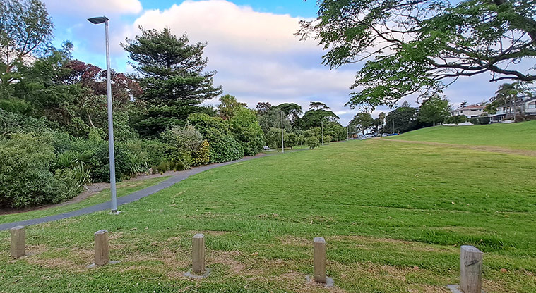 Waiake / Aickin Reserve - Open grassed area with trees and a path with lights along the left-hand side of the reserve and the car park in the background.