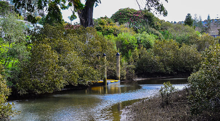 Waiake / Aickin Reserve - Looking across Deep Creek with the jetty in the background. Photo credit: Aleksandar Ćirilović.