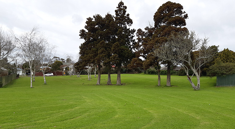 Alan Reserve - Open space and trees. Photo credit: T Hodder.
