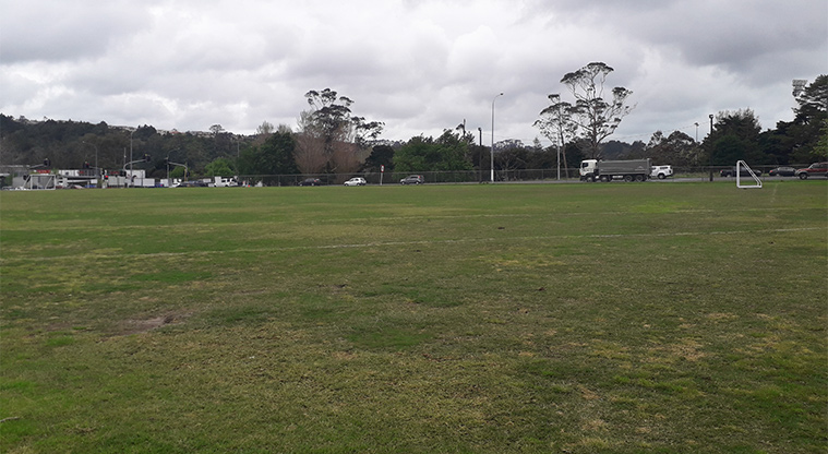Albany Domain - Sports fields.