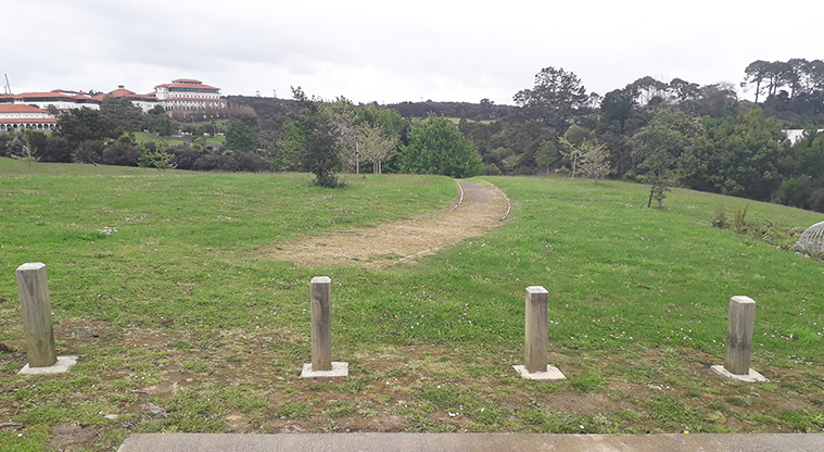 Albany Domain - Open space with trees and a path down the middle.