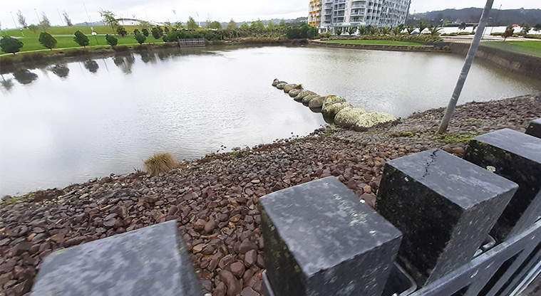 Albany Lakes Reserve - Looking over the lake.