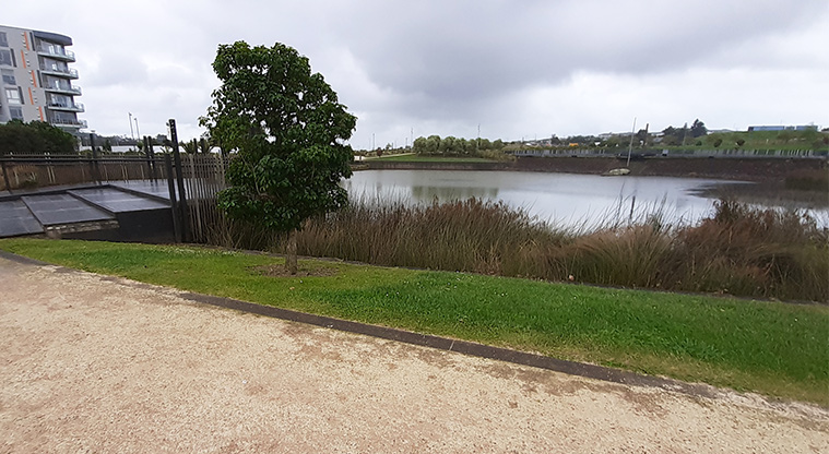 Albany Lakes Reserve - Section of the path overlooking the lake.