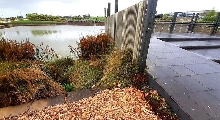 Albany Lakes Reserve - Section of viewing platform overlooking the lake.