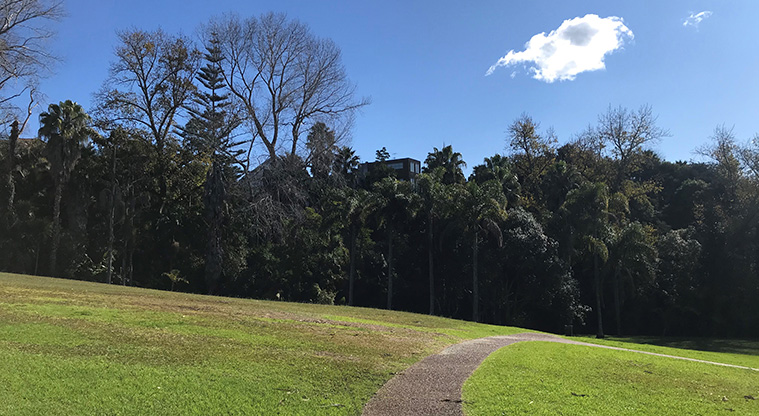 Alberon Reserve - Section of open grassed space with a footpath along the middle.