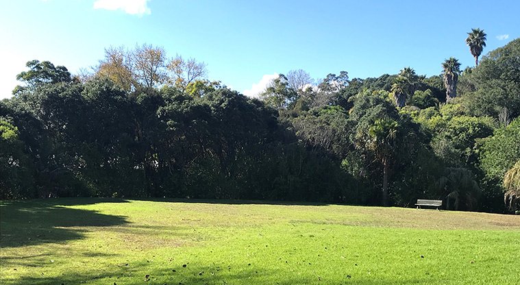 Alberon Reserve - Open grassed area with trees and a seat in the background.