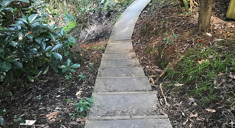 Alberon Reserve - Section of path and some steps through the bush.
