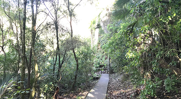 Alberon Reserve - Section of path through the bush.