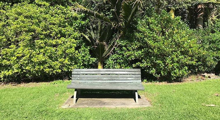 Alberon Reserve - Seat in front of an area of bush.