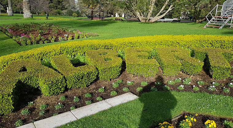 Albert Park - Well maintained gardens.
