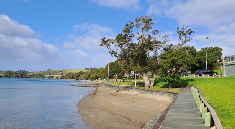Algies Bay Reserve – Section of footpath with the bay to the left and car park to the right. Photo credit: M Woodside.