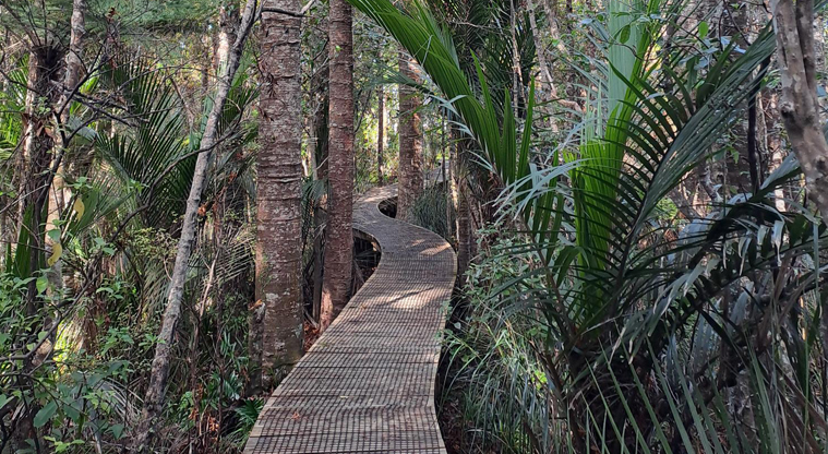 Alice Eaves Scenic Reserve - Section of the trail