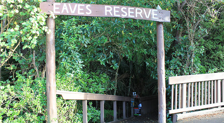 Alice Eaves Scenic Reserve - Old North Road entrance. Photo credit: M Loubser.