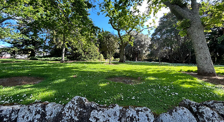 Alice Wylie Reserve - Looking into the reserve from Burch Street. Photo credit: S Hulse.