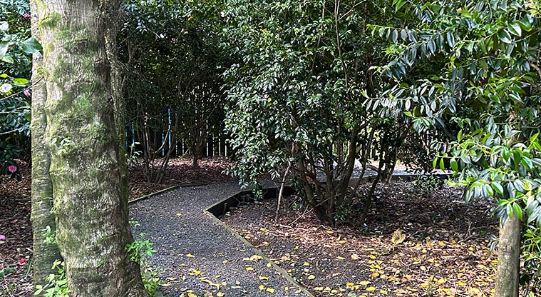 Alice Wylie Reserve - A section of the little hidden path at the back of the reserve. Photo credit: S Hulse.