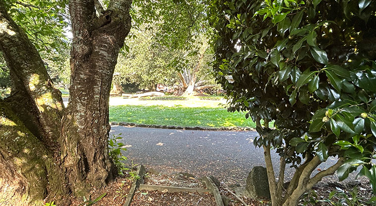 Alice Wylie Reserve - Looking at the main part of the reserve from one end of the little hidden path. Photo credit: S Hulse.