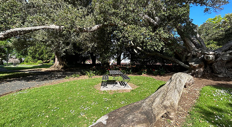 Alice Wylie Reserve - A large fallen log with a picnic table and trees in the background. Photo credit: S Hulse.