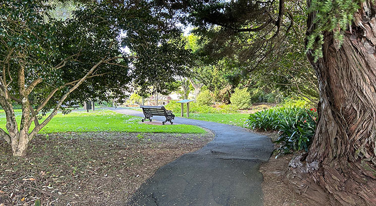 Alice Wylie Reserve - Section of path under the trees with a seat and grass in the background. Photo credit: S Hulse.