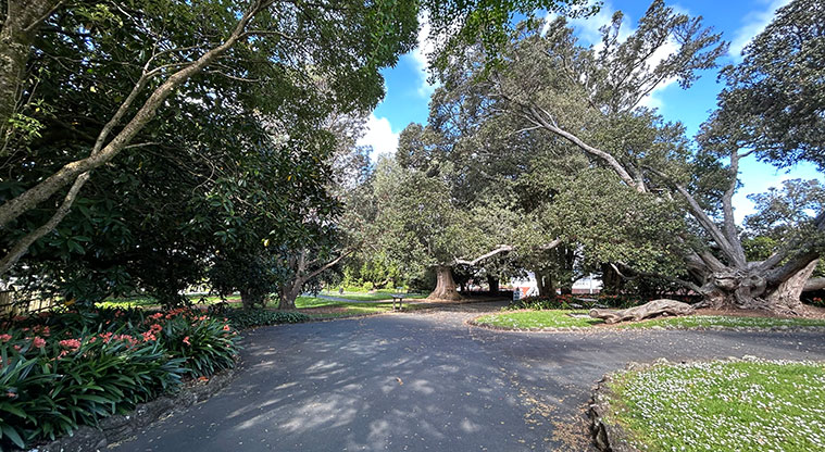 Alice Wylie Reserve - The intersection of the paths inside the reserve. Photo credit: S Hulse.