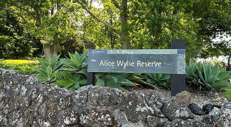 Alice Wylie Reserve - Reserve sign on the wall on the corner of New North Road and Burch Street. Photo credit: S Hulse.