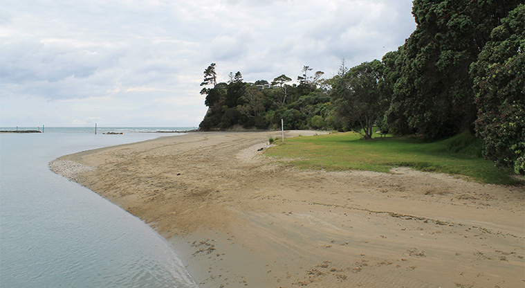 Amorino Park - Ōrewa River bank looking towards the ocean mouth. Photo credit: M Loubser.