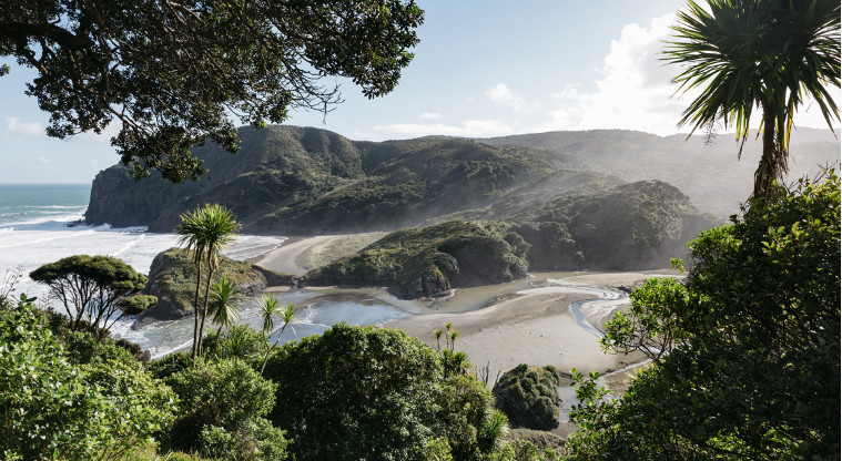 Anawhata, Waitākere Ranges Regional Park - view from Keddle House backyard.