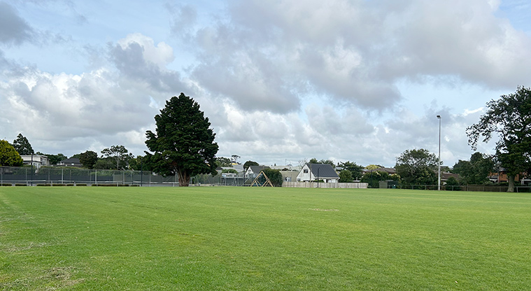 Anderson Park - The sports fields with the playground and tennis courts in the background. Photo credit: S Hulse.