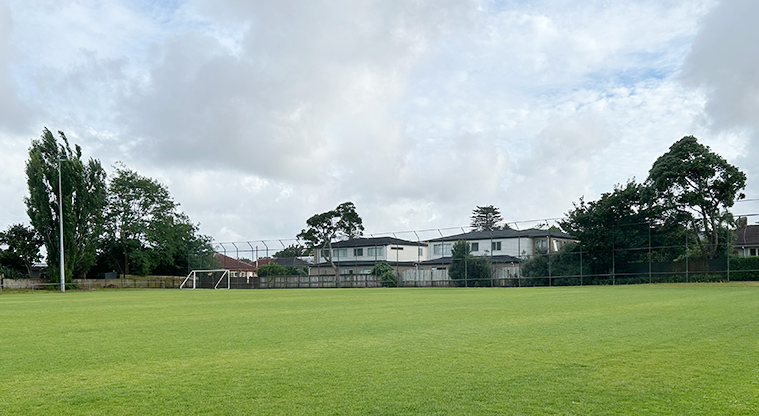 Anderson Park - The sports fields. Photo credit: S Hulse.