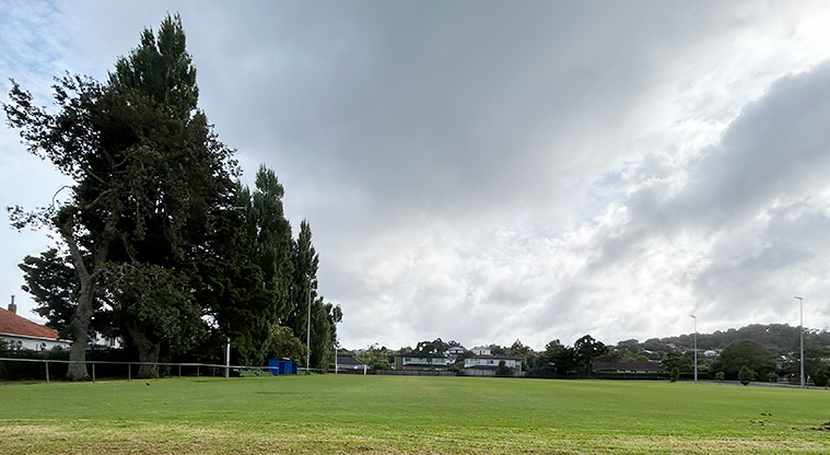 Anderson Park - Section of the sports fields with trees and houses in the background. Photo credit: S Hulse.