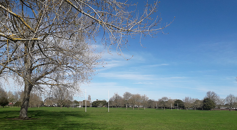 Aorere Park - Sports fields with a large tree in the foreground.