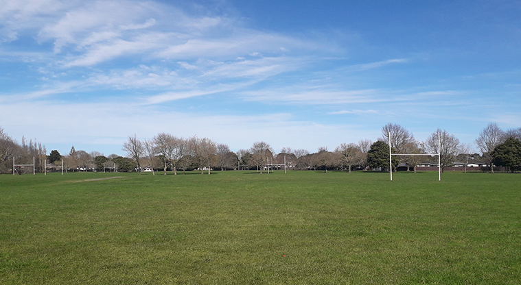 Aorere Park - Sports fields.