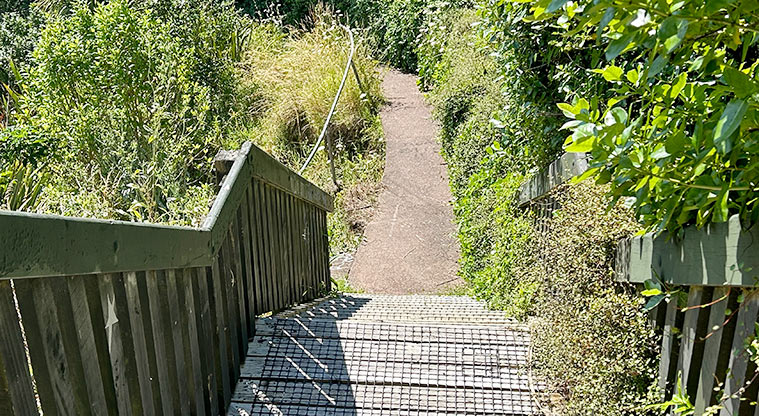 Arch Hill Scenic Reserve - Section of the steps and path leading down from the Great North Road entrance. Photo credit: S Hulse.