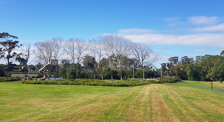 Archibald Park - Looking across open grassed area with the playground in the background.