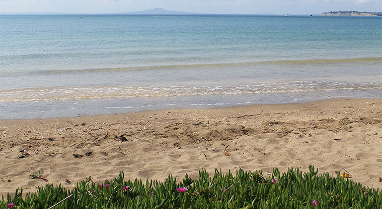 Arkles Bay Beachfront Reserve - Beach. Photo credit: M Loubser.