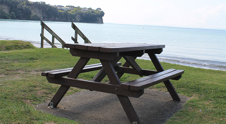 Arkles Bay Beachfront Reserve - Picnic table. Photo credit: M Loubser.