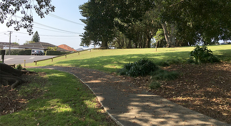 Arthur S Richards Memorial Park - Accessible entrance from Parau Street. Photo credit: S Hulse.