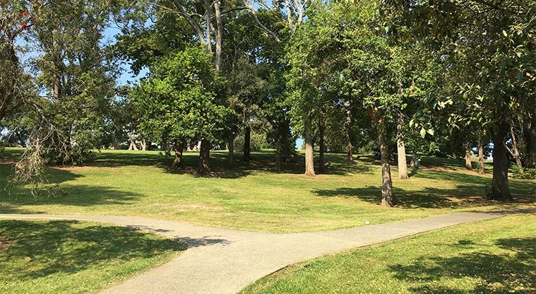 Arthur S Richards Memorial Park - Accessible paths leading through the large mature trees. Photo credit: S Hulse.