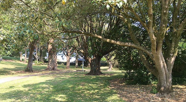 Arthur S Richards Memorial Park - Seat under the trees. Photo credit: S Hulse.