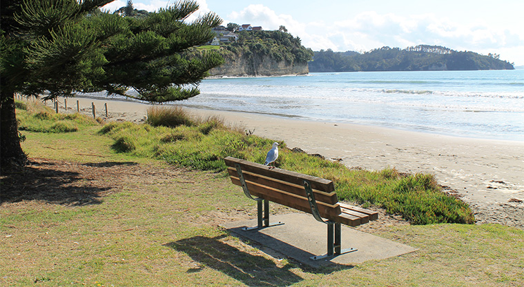 Arundel Reserve - Park bench overlooking the beach. Photo credit: M Loubser.