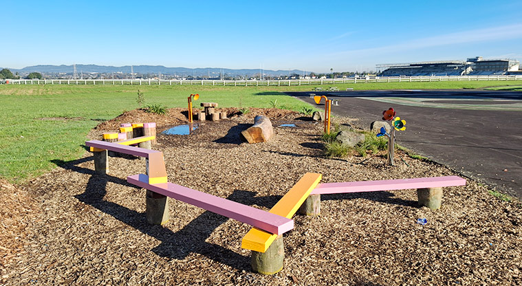 Avondale Central Reserve - Nature play area with balancing planks, stumps, logs and sound play. Photo credit: T Hodder.