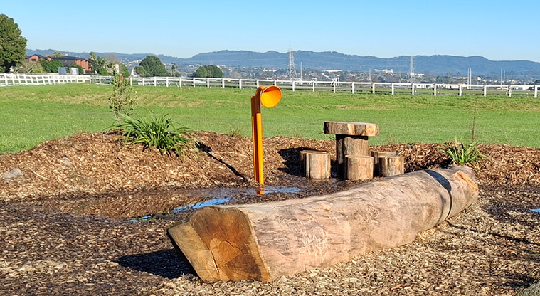 Avondale Central Reserve - Large log for climbing or walking along, table and chairs made from logs and a sound play tube. Photo credit: T Hodder.