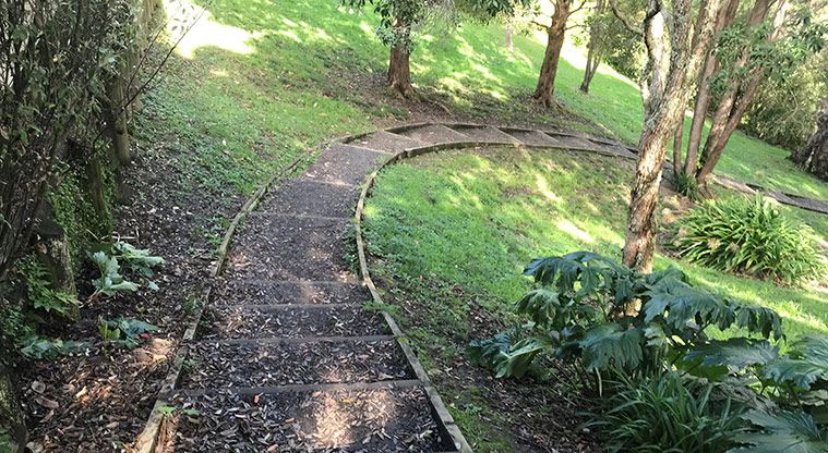 Awatea Reserve - Steps leading down towards Hobson Bay.